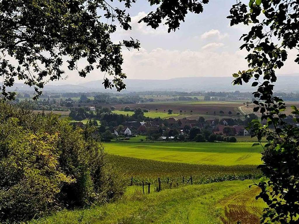Hotel Weinschanke Rohdental Hessisch Oldendorf Екстериор снимка