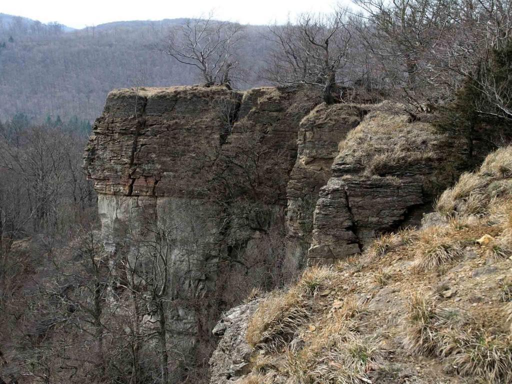 Hotel Weinschanke Rohdental Hessisch Oldendorf Екстериор снимка